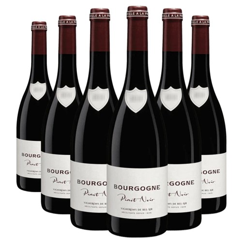 Case of 6 Vignerons de Bel Air Bourgogne Pinot Noir 75cl Red Wine